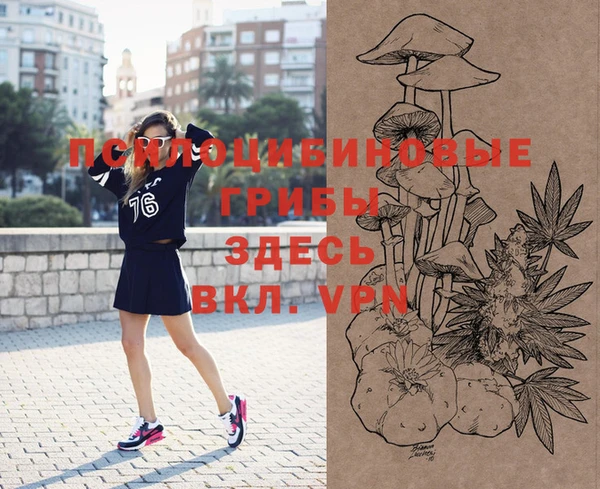 ешки Медвежьегорск