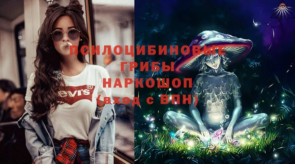 PSILOCYBIN Мегион