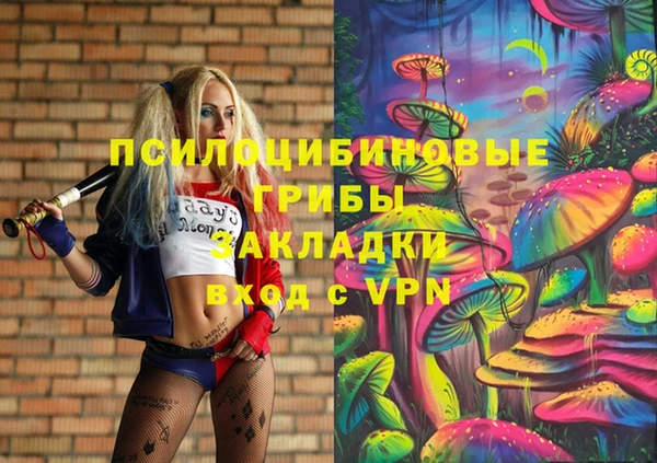 ешки Медвежьегорск