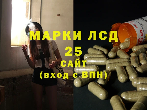 шишки Магас