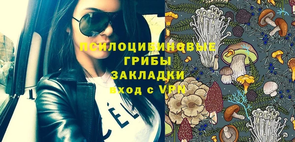 ешки Медвежьегорск