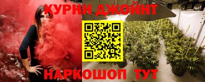 сатива Комсомольск-на-Амуре