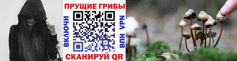 как найти закладки  Южноуральск  Галлюциногенные грибы прущие грибы 