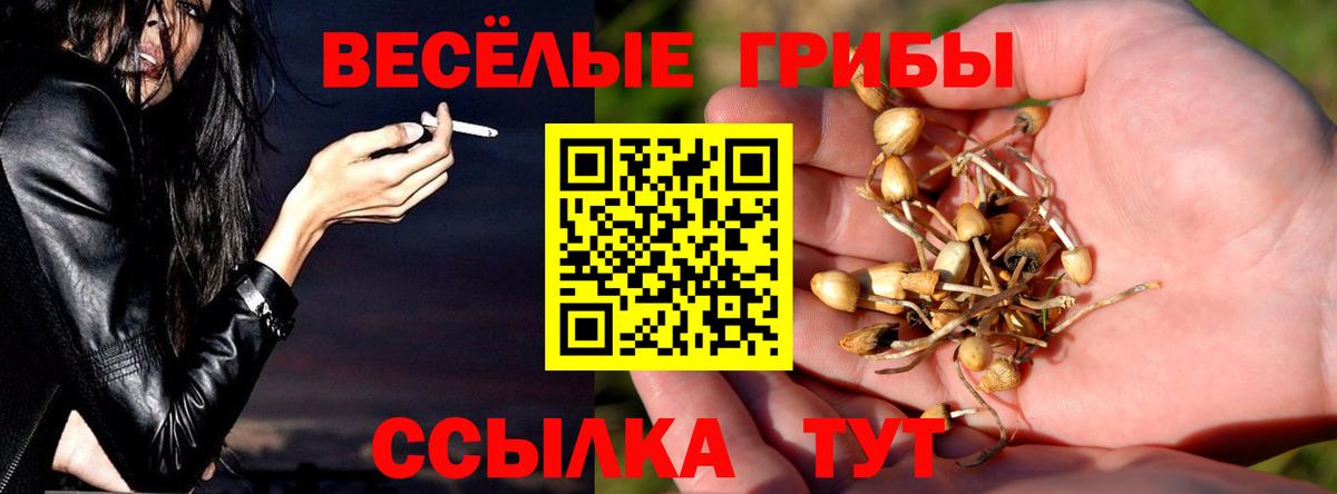 Псилоцибиновые грибы GOLDEN TEACHER  Галлюциногенные грибы мухоморы  Южноуральск 
